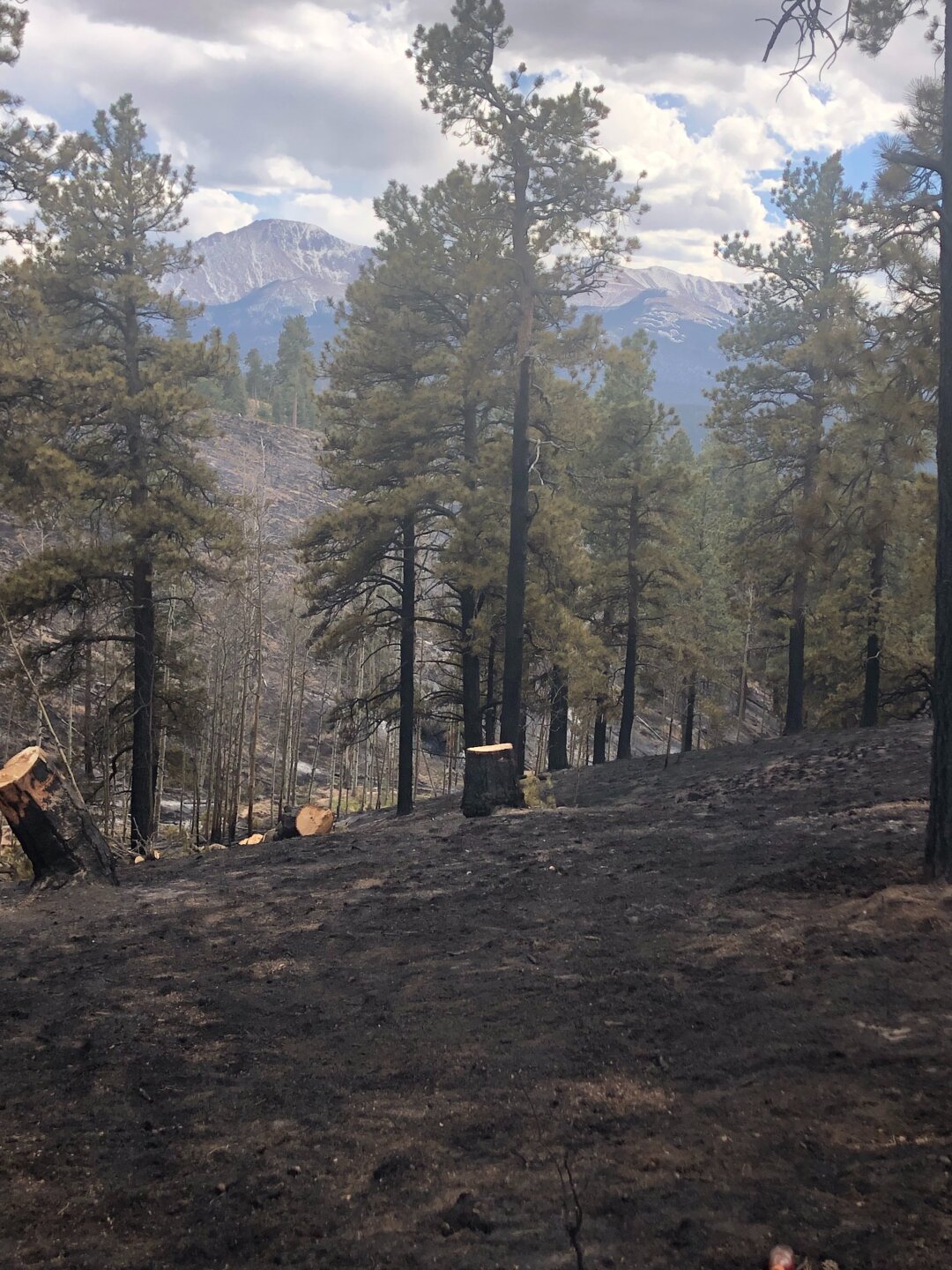 Rampart Fire Mop-ups.jpg