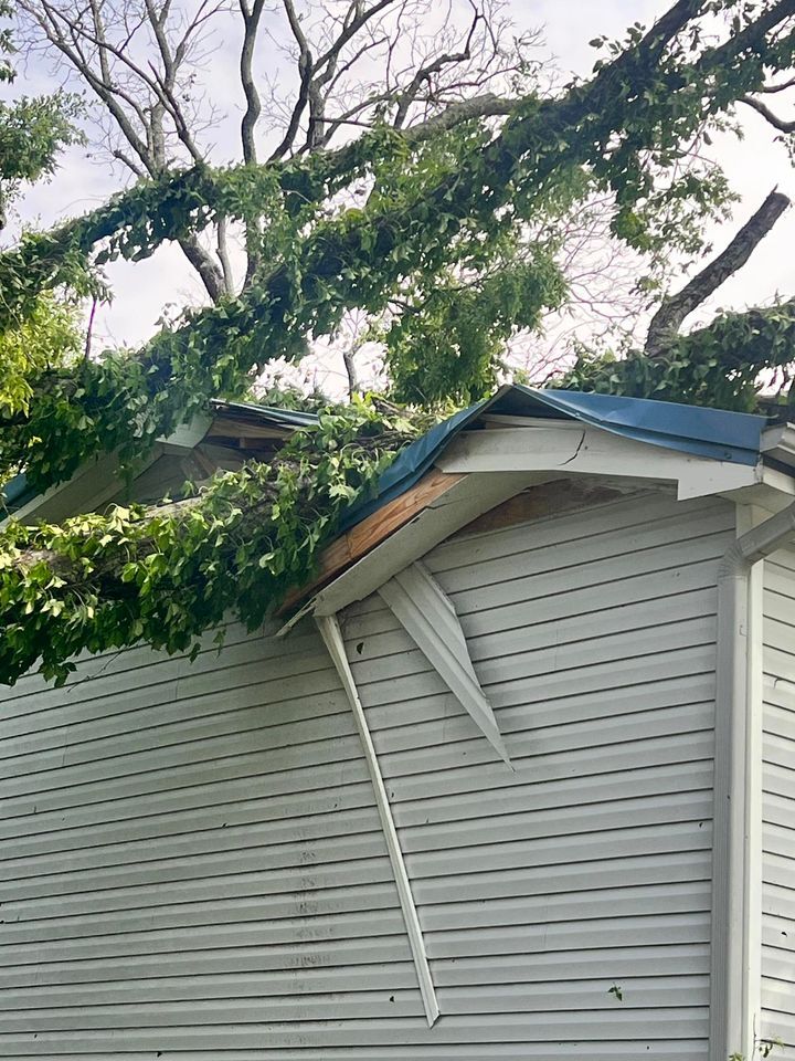 Angel Vidrine Brocato Port Barre 4.jpg