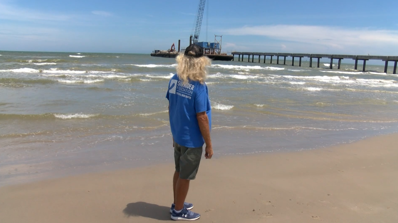 BobHallSurf.png