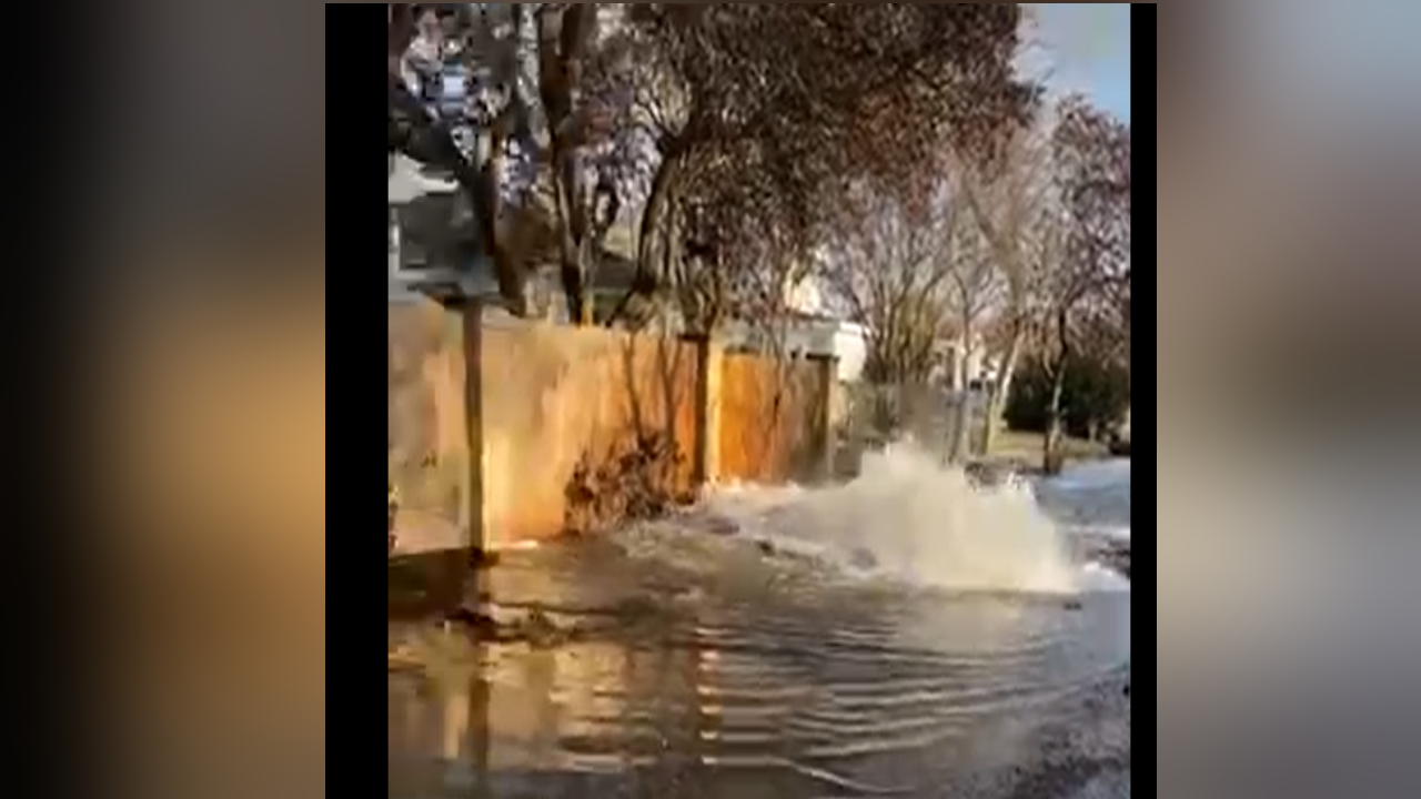 Retama water spewing