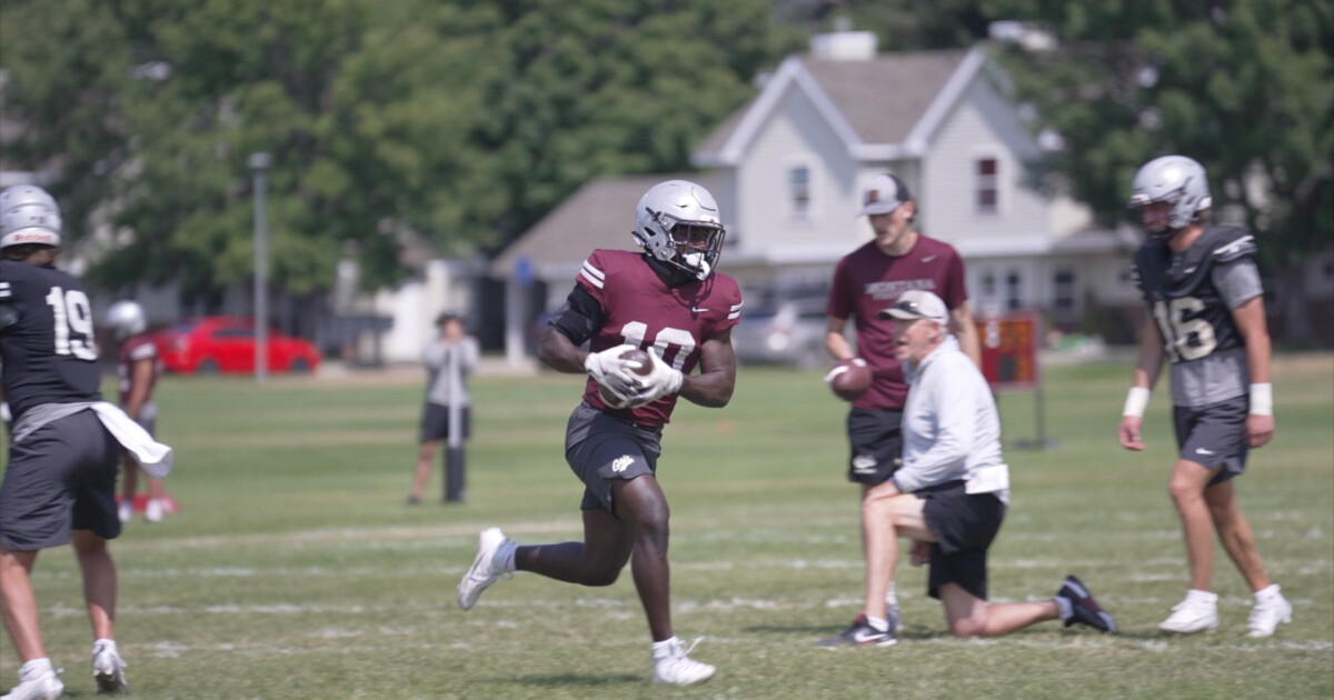 On doorstep of history, Eli Gillman leads talented stable of Montana running backs