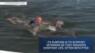 Veterans with PTSD swim with dolphins in Florida