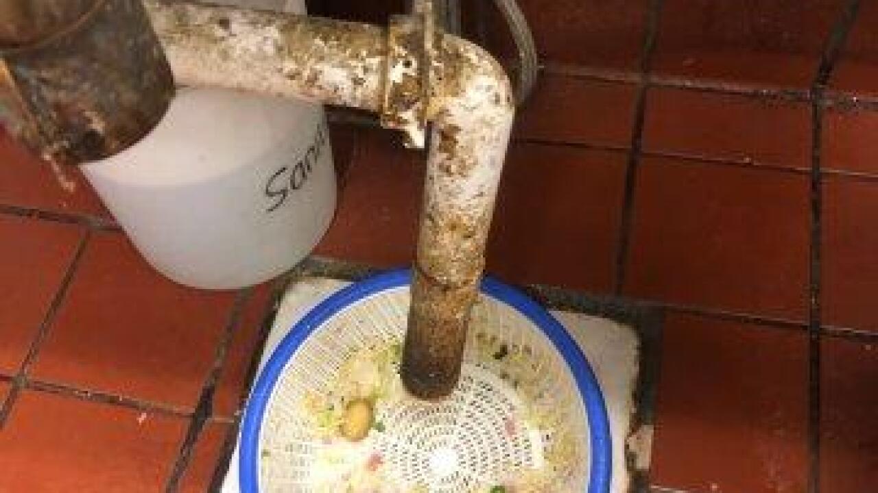 Chop Chop Wok lands on Dirty Dining after customer finds steel wool in food