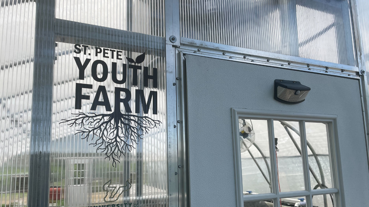 st pete youth farm