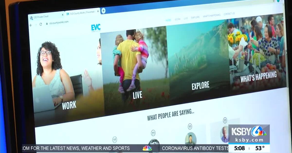 The Rebound: New online resource launched for Central Coast job seekers