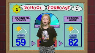 Harper WX Rookie 9-10-26