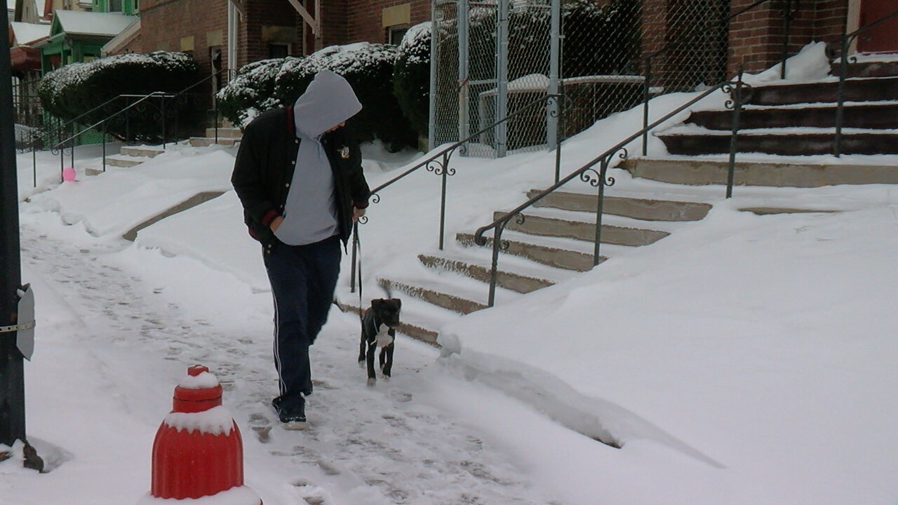 HUMBOLDT RESIDENT.jpg