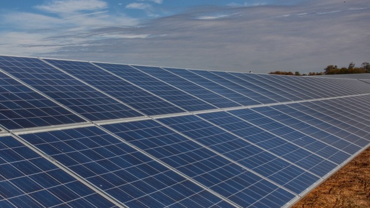 City Council Pledges To Operate On 100 Percent Renewable Energy By 2035
