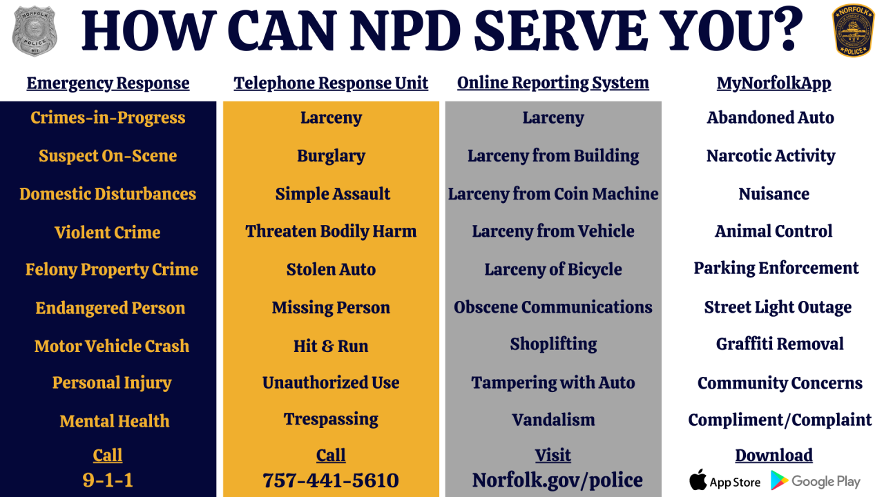 How can NPD Serve You.png