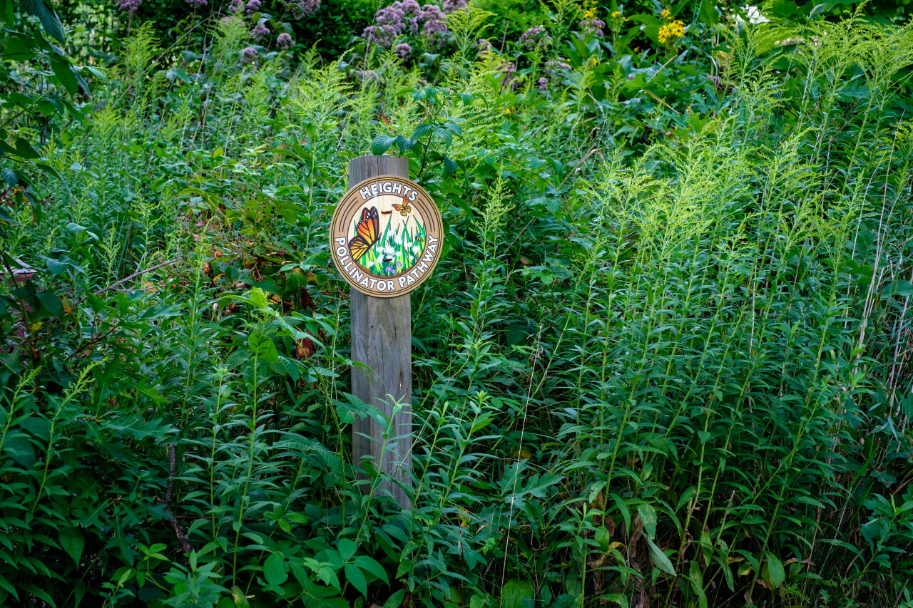 Woodview Hope Garden 2.jpg