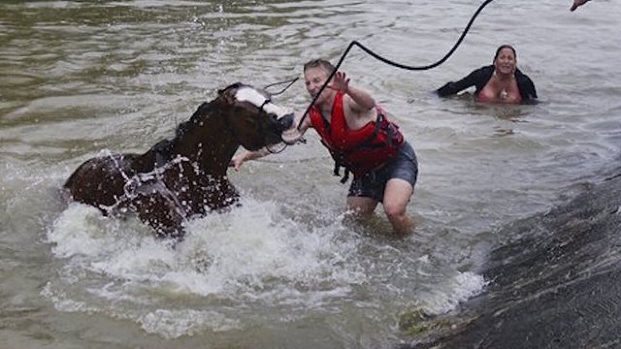 Floods turn deadly in Houston