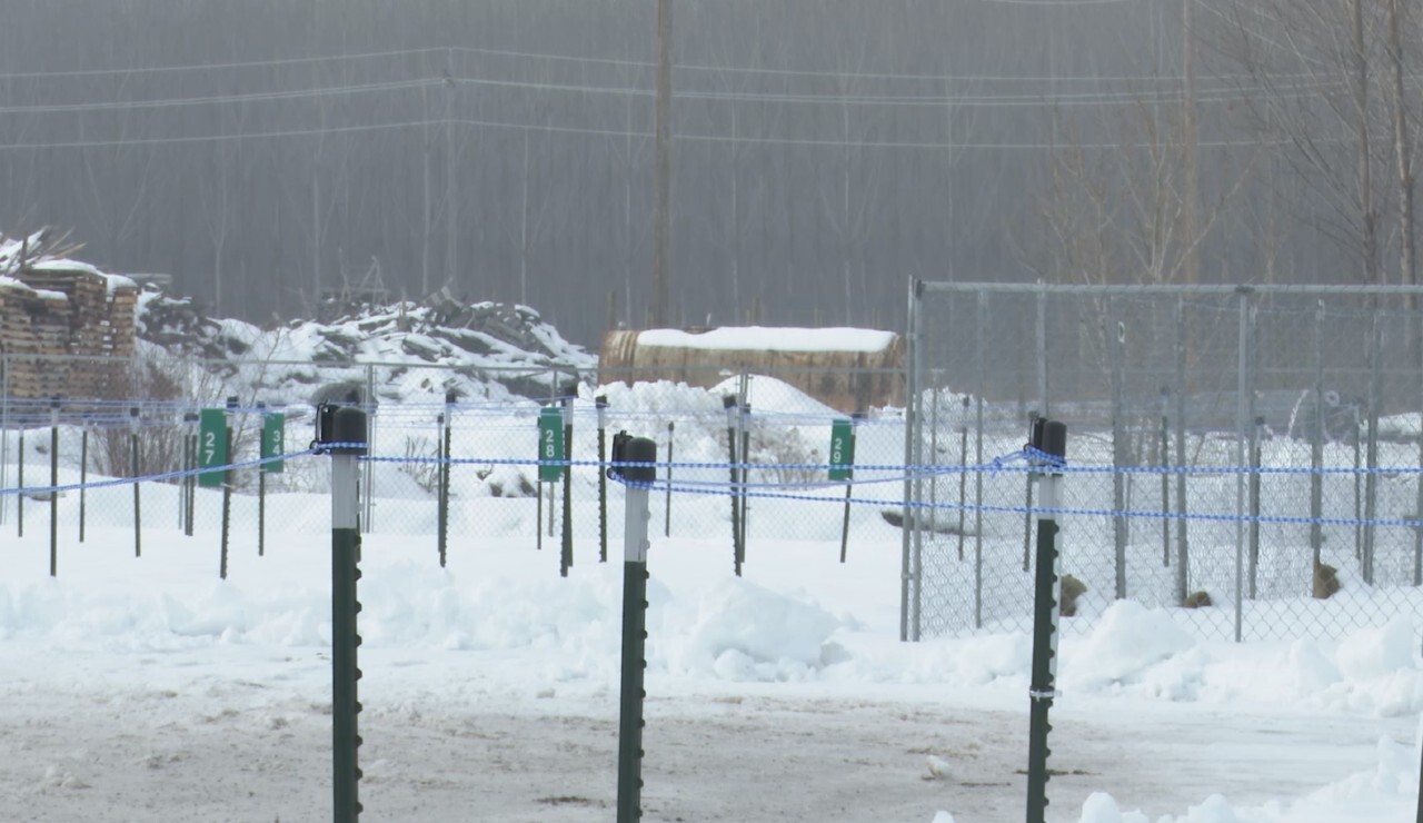 Clark Fork Lane Camping Site.jpg