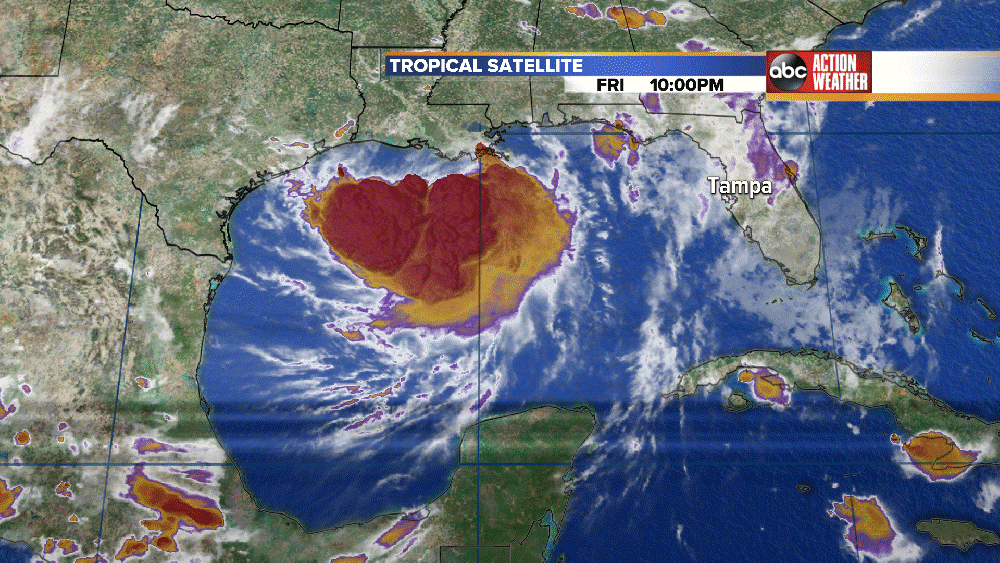 Https Encrypted Tbn0 Gstatic Com Images Q Tbn 3aand9gcsecn6gxo28qnsv5 Lp4qhxz Zzsmvkprm1qa Usqp Cau