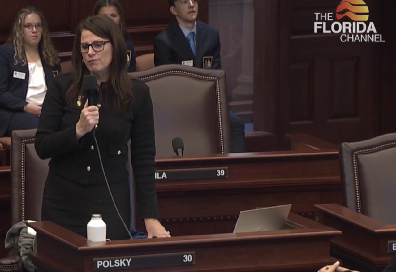 State Sen Tina Polsky D Boca Raton social media bill 03042024