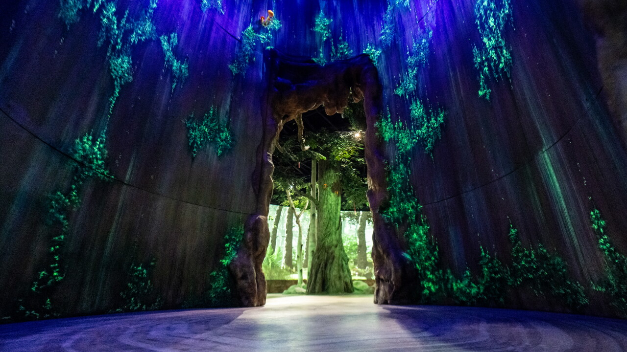 Primate Forest 2