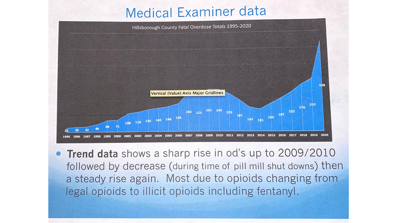 Hillsborough County Anti-Drug Alliance2.png