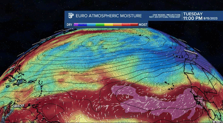 euro tue.gif