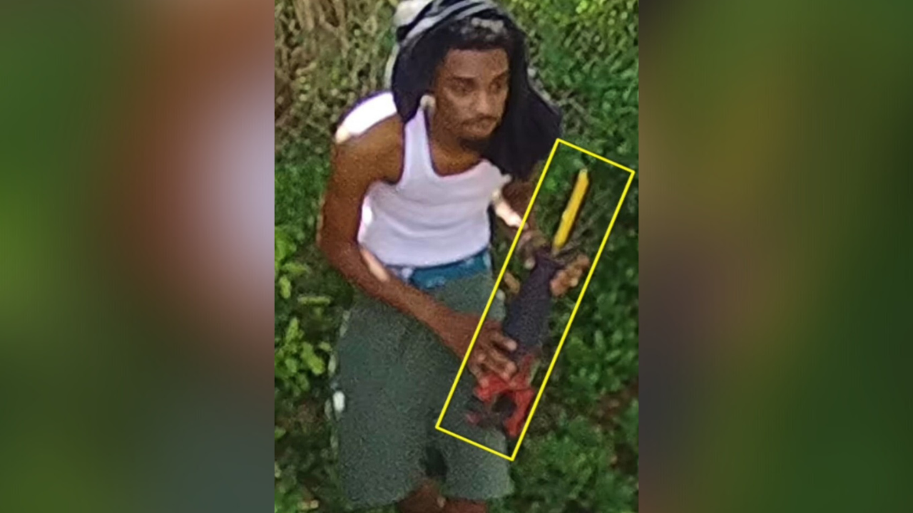 catalytic converter thefts i-team7.png