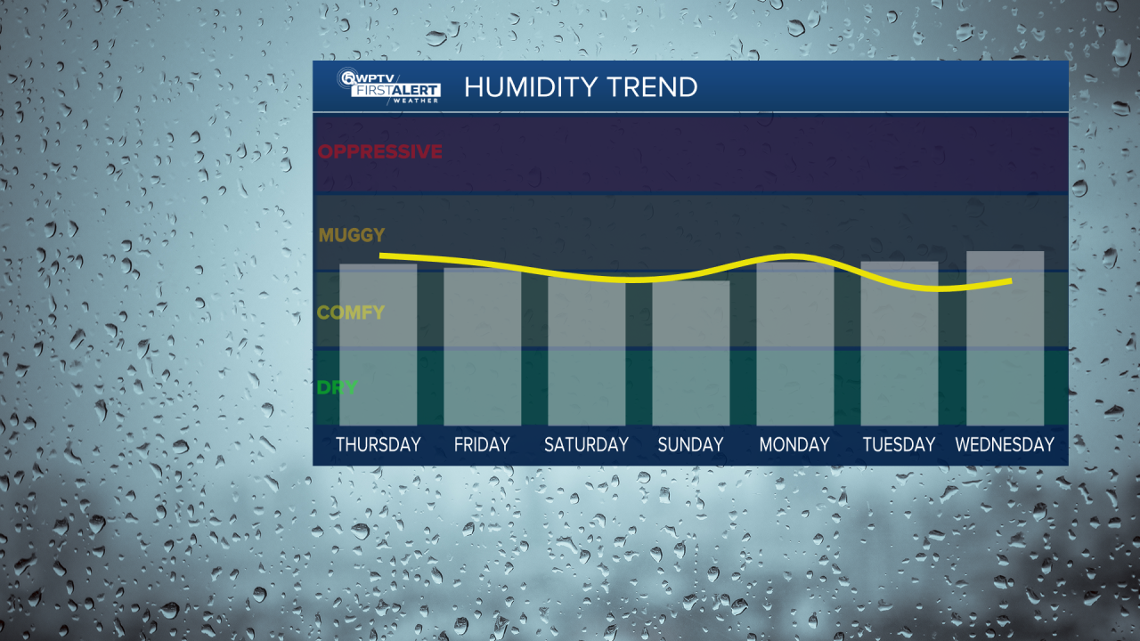 7 day humidity trend.png