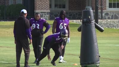 Baltimore Ravens.jpg