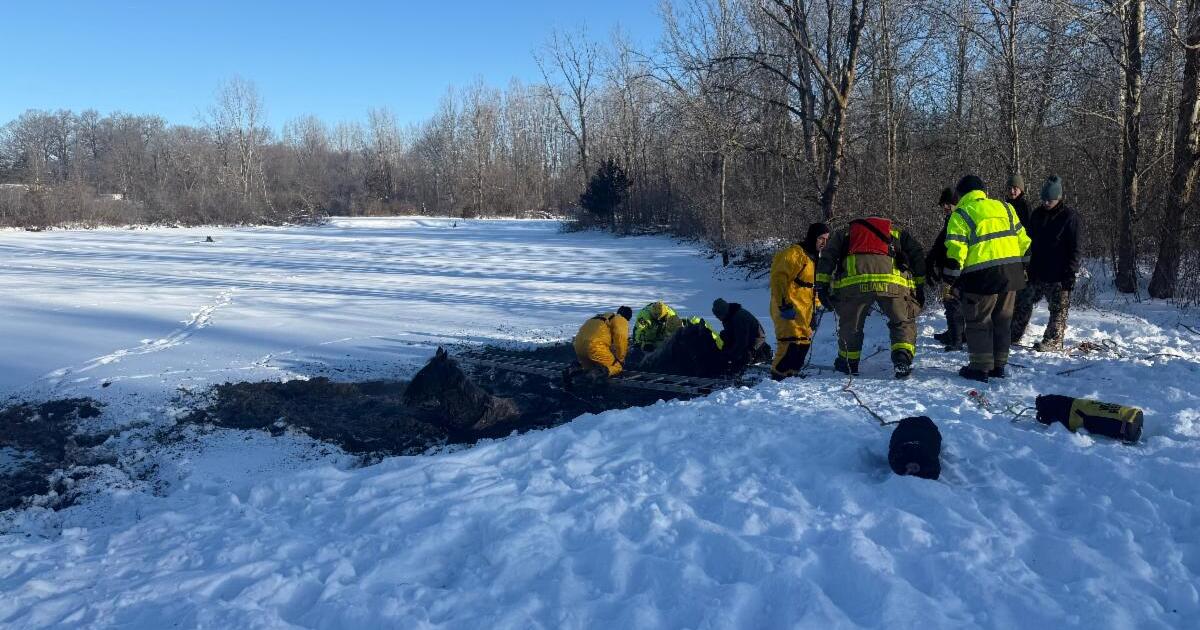 Four Horses Rescued After Falling Through Ice at Turtle Creek Golf Course
