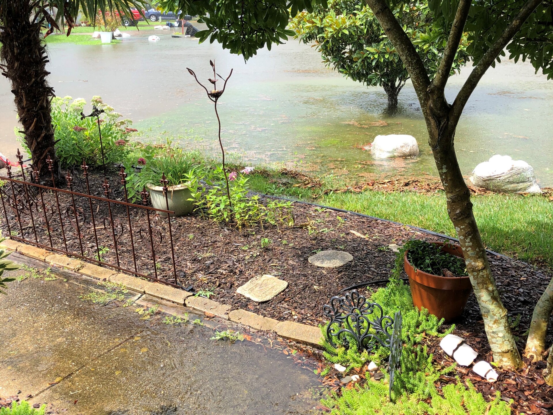 Hunt Club Forest VB (Robin Paige MacPherson) 2.jpg