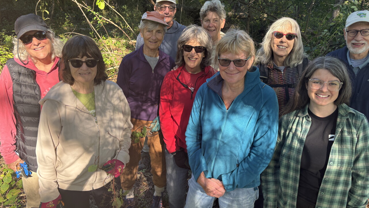 Two-year restoration begins at Shorewood Nature Preserve