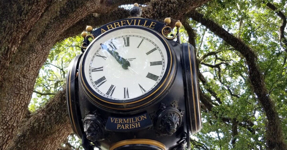 Abbeville City Council sued over alleged voter representation violations - Vimarsana News