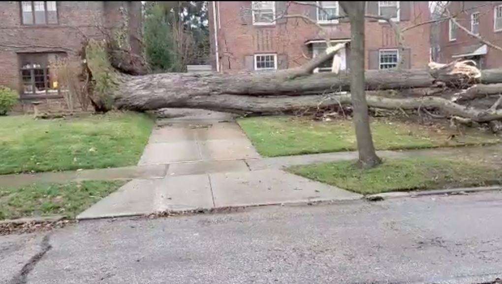 Screen Shot 2021-03-26 at 9.00.42 AM.png