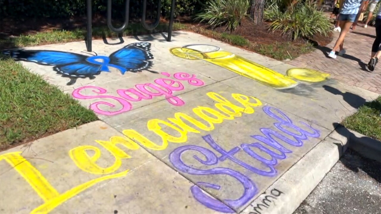 Sage's lemonade stand in Boynton Beach