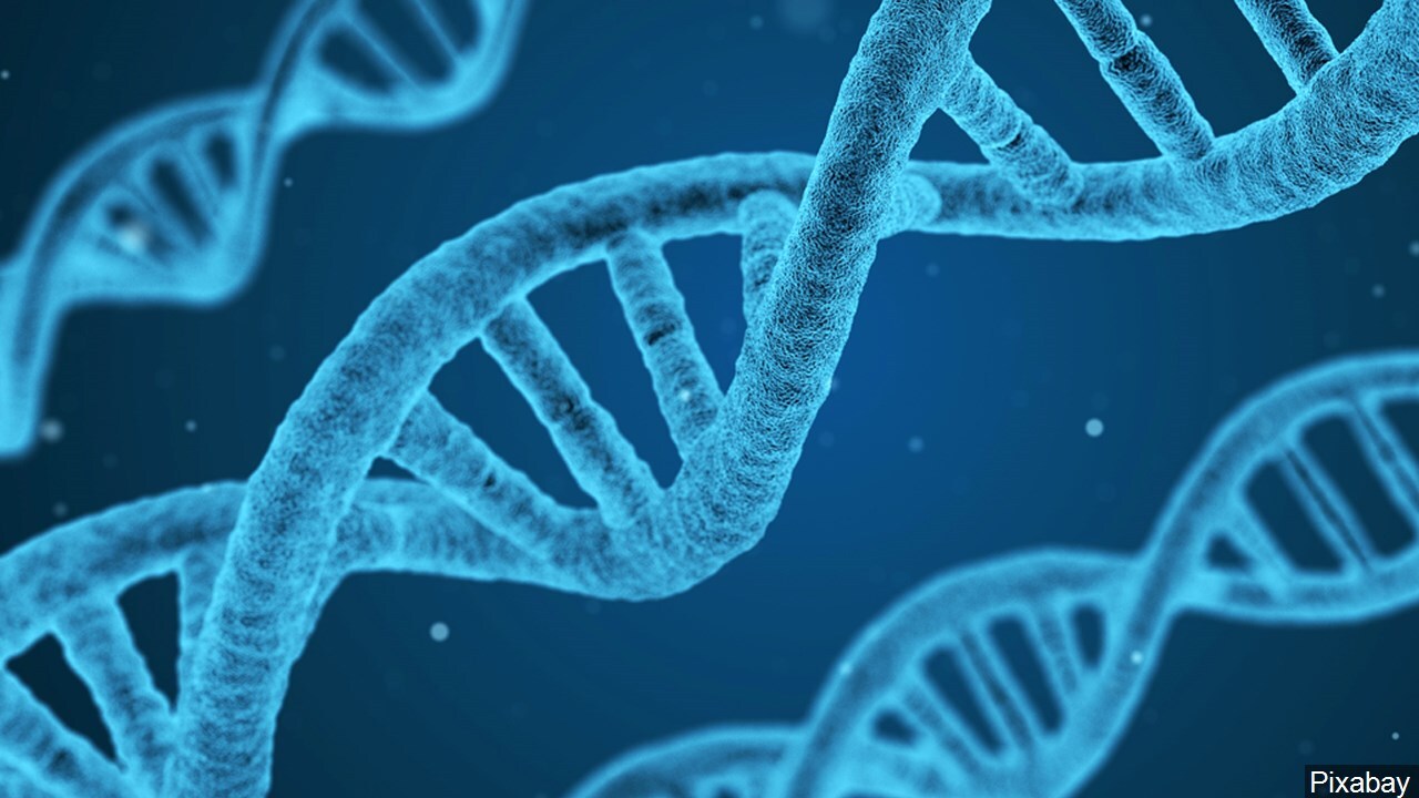 Image result for Doctors try CRISPR gene editing for cancer, a 1st in the US