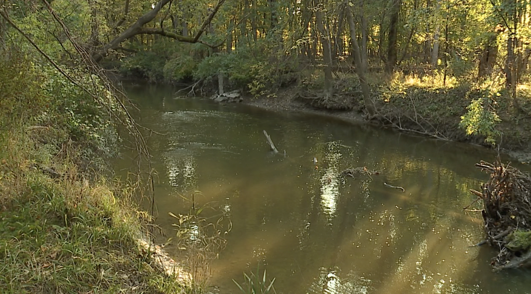 The Rouge River in Wayne, where the body parts were found