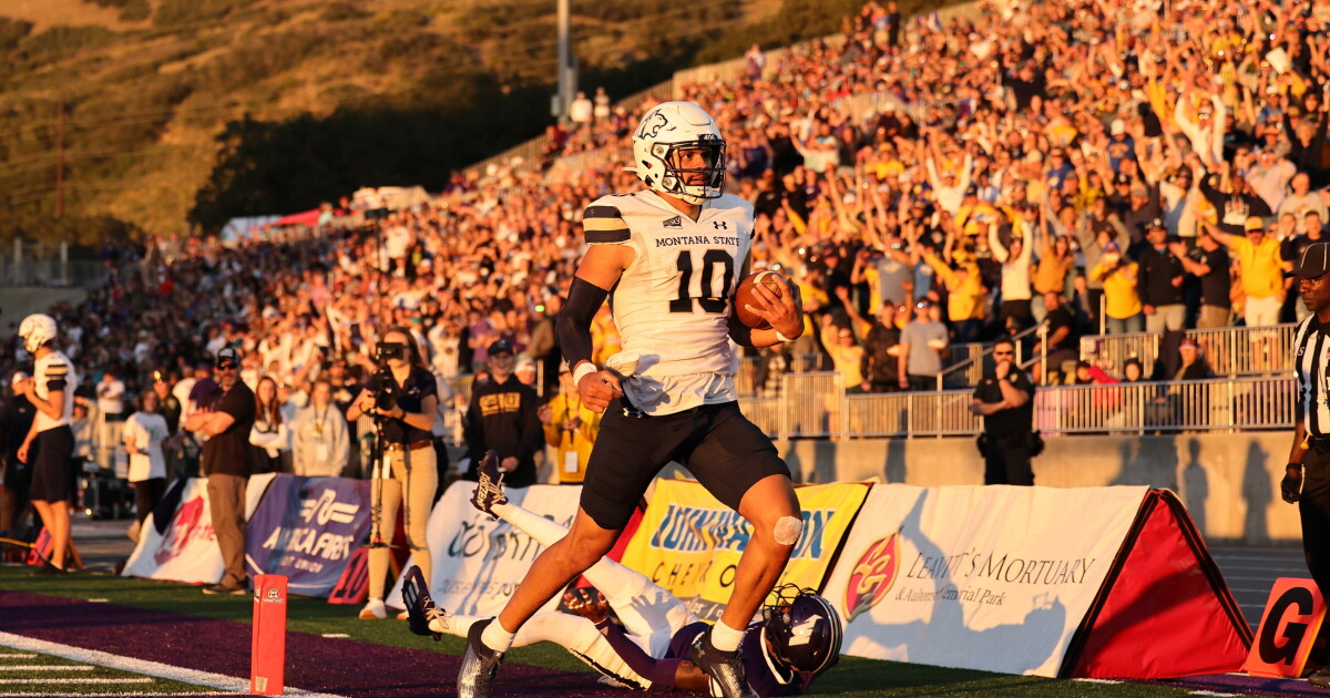 Bobcat Insider: Brent Vigen talks win over Weber State, Sean Chambers' progress - Vimarsana News