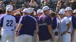 Battle Creek Lakeview baseball