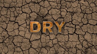 dry.jpg