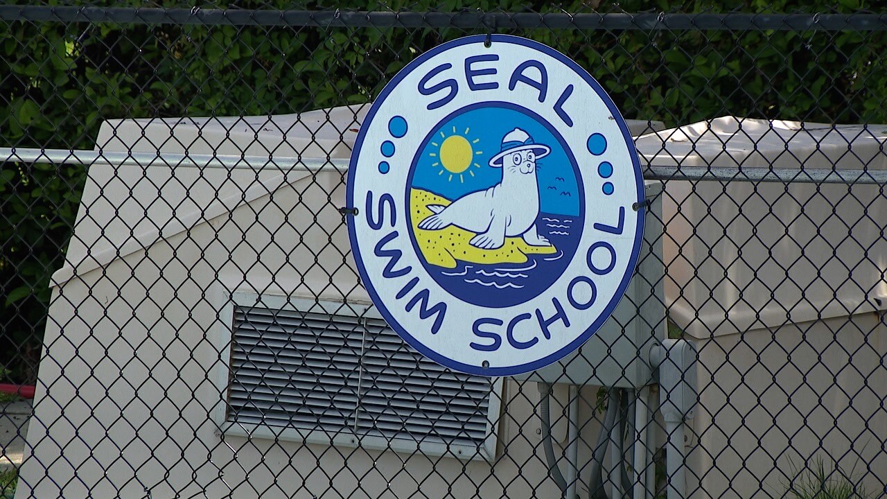 Seal Swim School
