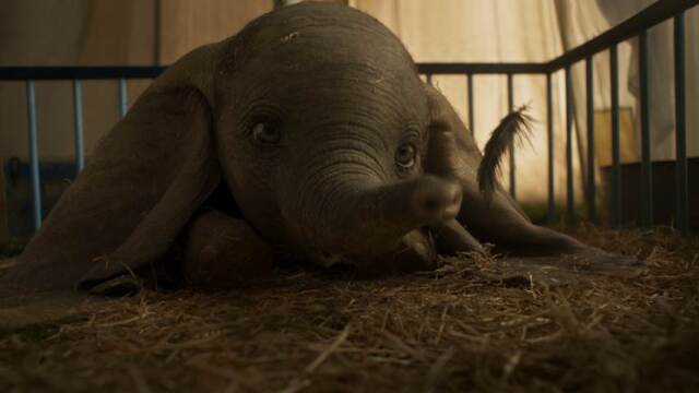 Dumbo