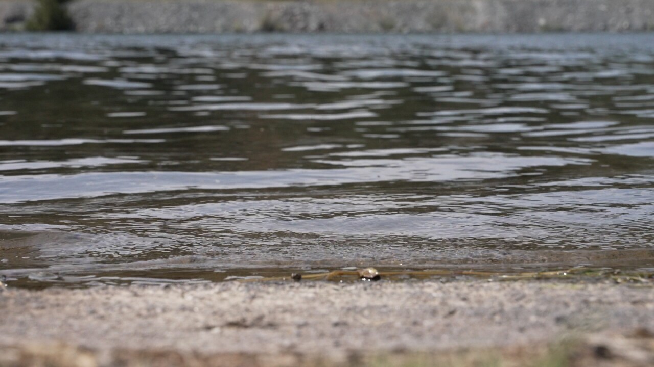 Water