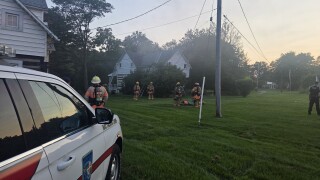 Fire at reptile house leaves snakes, turtles, and lizards in need of relocation in Baltimore County 