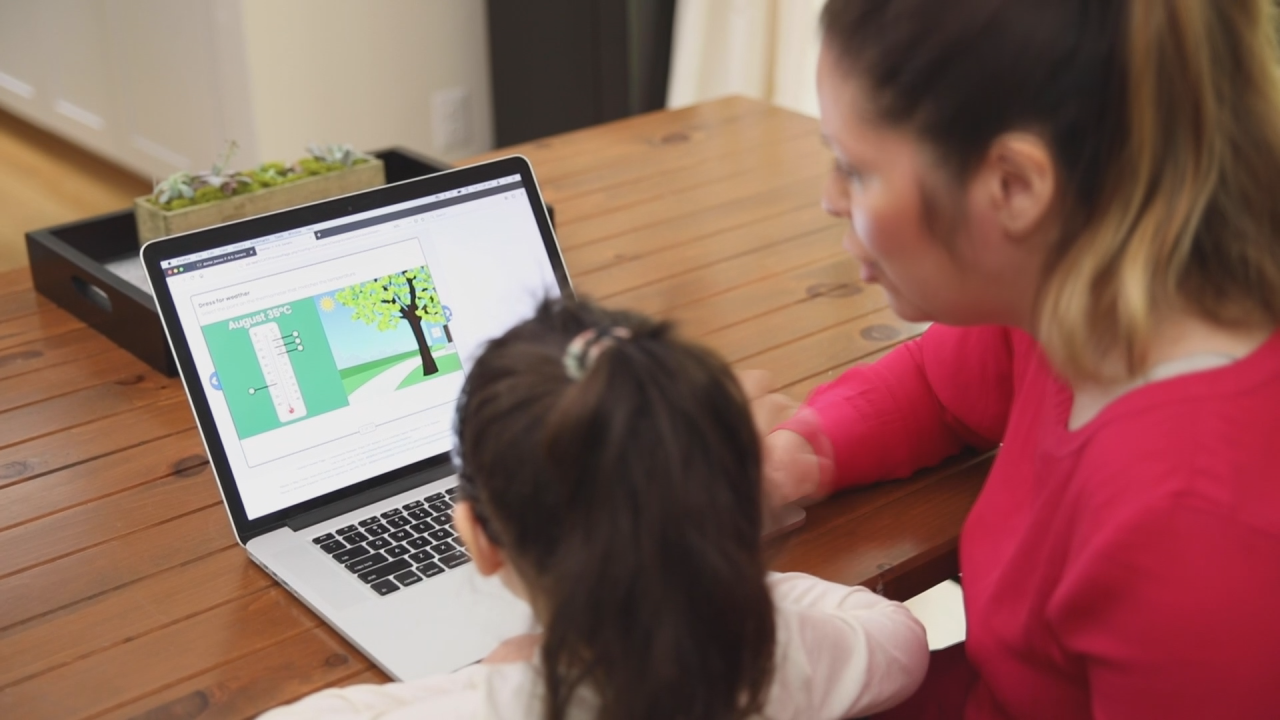 Online School