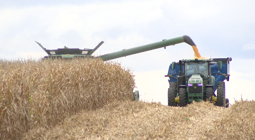 Kansas Corn Harvest