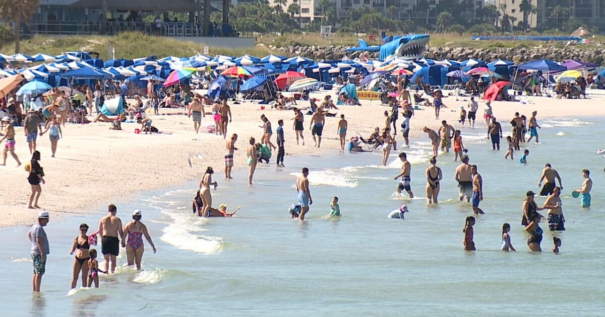 Business stays steady at Pinellas beaches over Labor Day weekend after storm - Vimarsana News