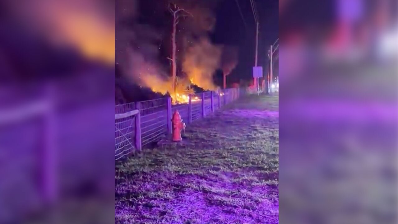 Fire at Savannas Preserve 