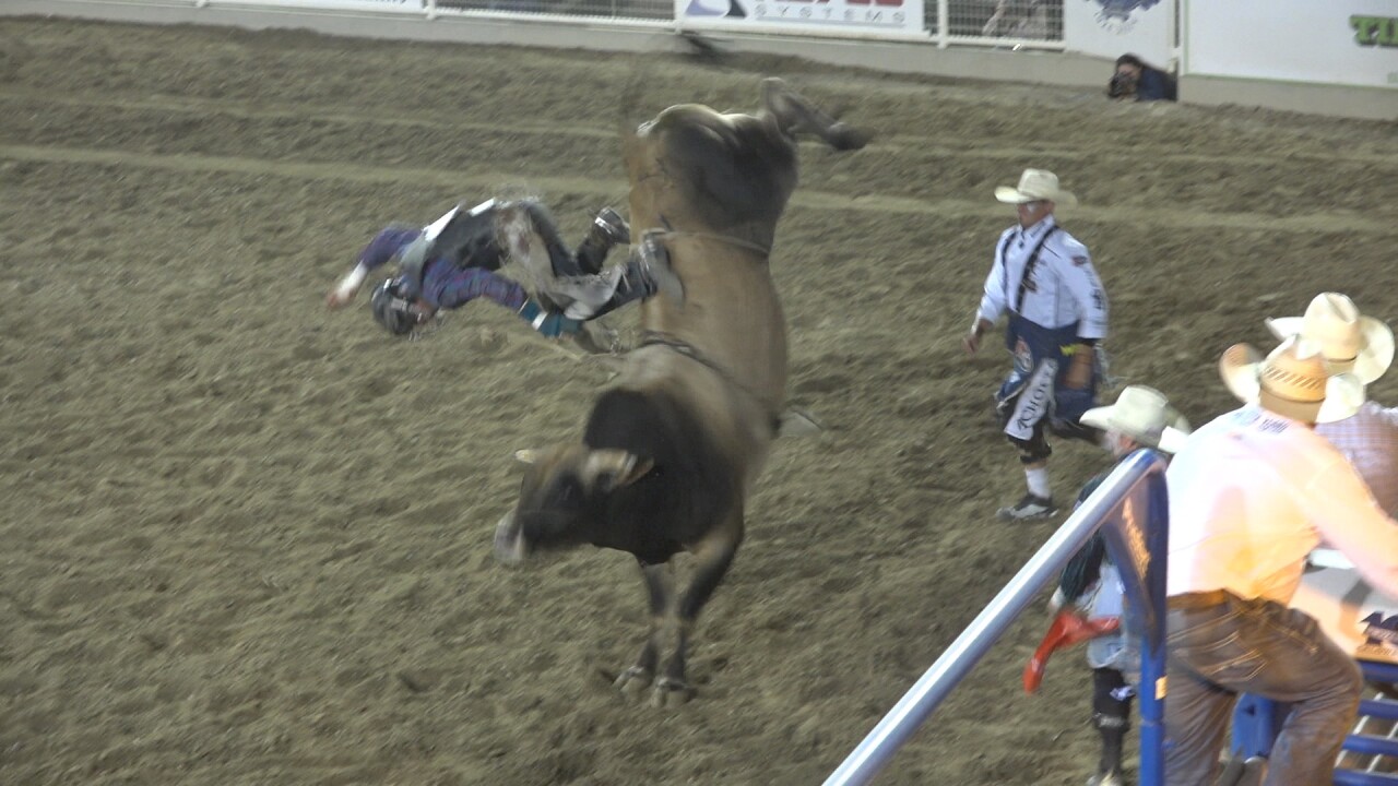 The Powder River bull were impressive