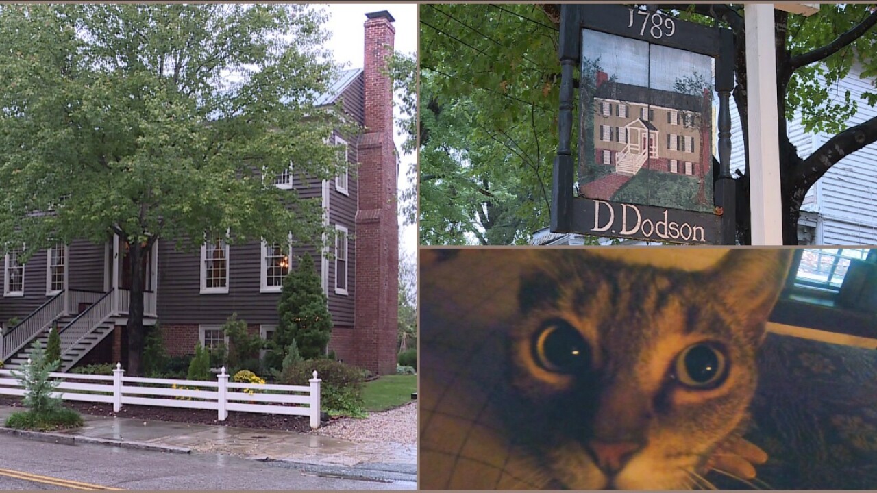 Is historic Petersburg tavern haunted? A cat seems to think so.