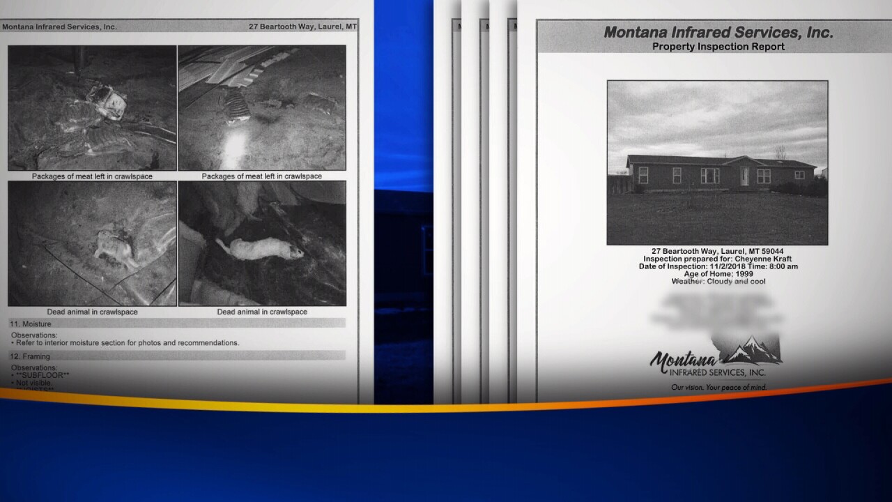 An inspection report shows pictures of dead animals in the crawlspace