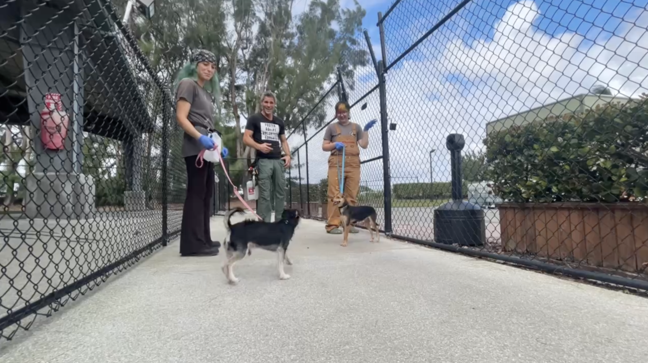Furry Friends employees with dogs 10092025.png