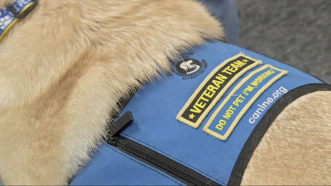 Veteran Team Canine Companion