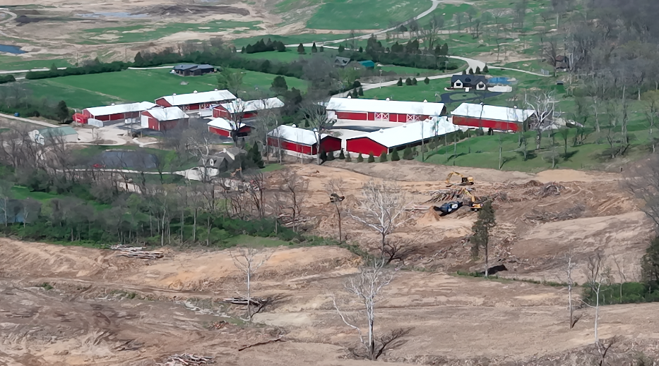 Neighbors accuse Doug Evans of removing thousands of trees from this steep hillside, putting their homes in Pepper Ridge in danger of wind and erosion.