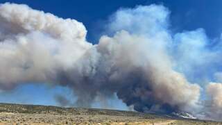 White Sage Fire